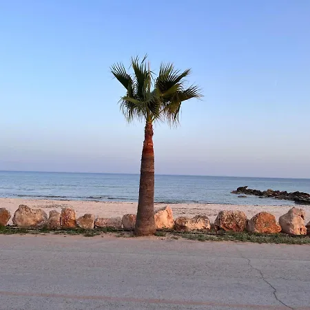 Leo Boutique Beachfront Semesterbostad Ayia Napa